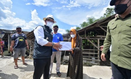 Ridwan Kamil Imbau Semua Daerah di Jawa Barat Tingkatkan Pengawasan Lalu Lintas Ternak
